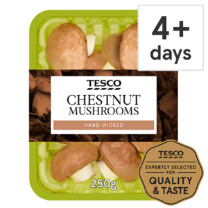 Chestnut Mushroom